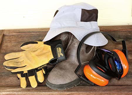 The Six Dangers Your Garden Holds - Paul's Mowing Melbourne