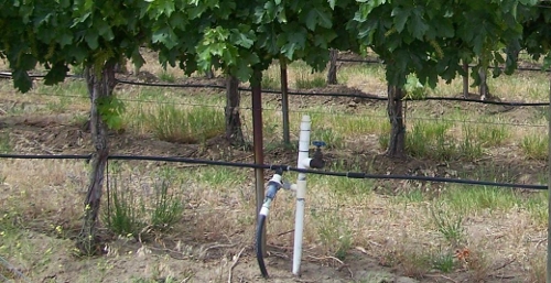 dripping irrigation system