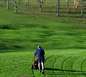 cutting grass in Melbourne