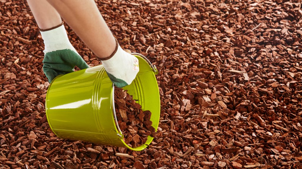 mulching